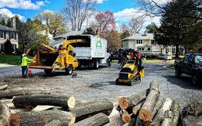 Port Republic, NJ Tree Services Company