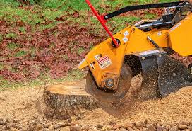 Best Organic Lawn Care Solutions  in Port Republic, NJ